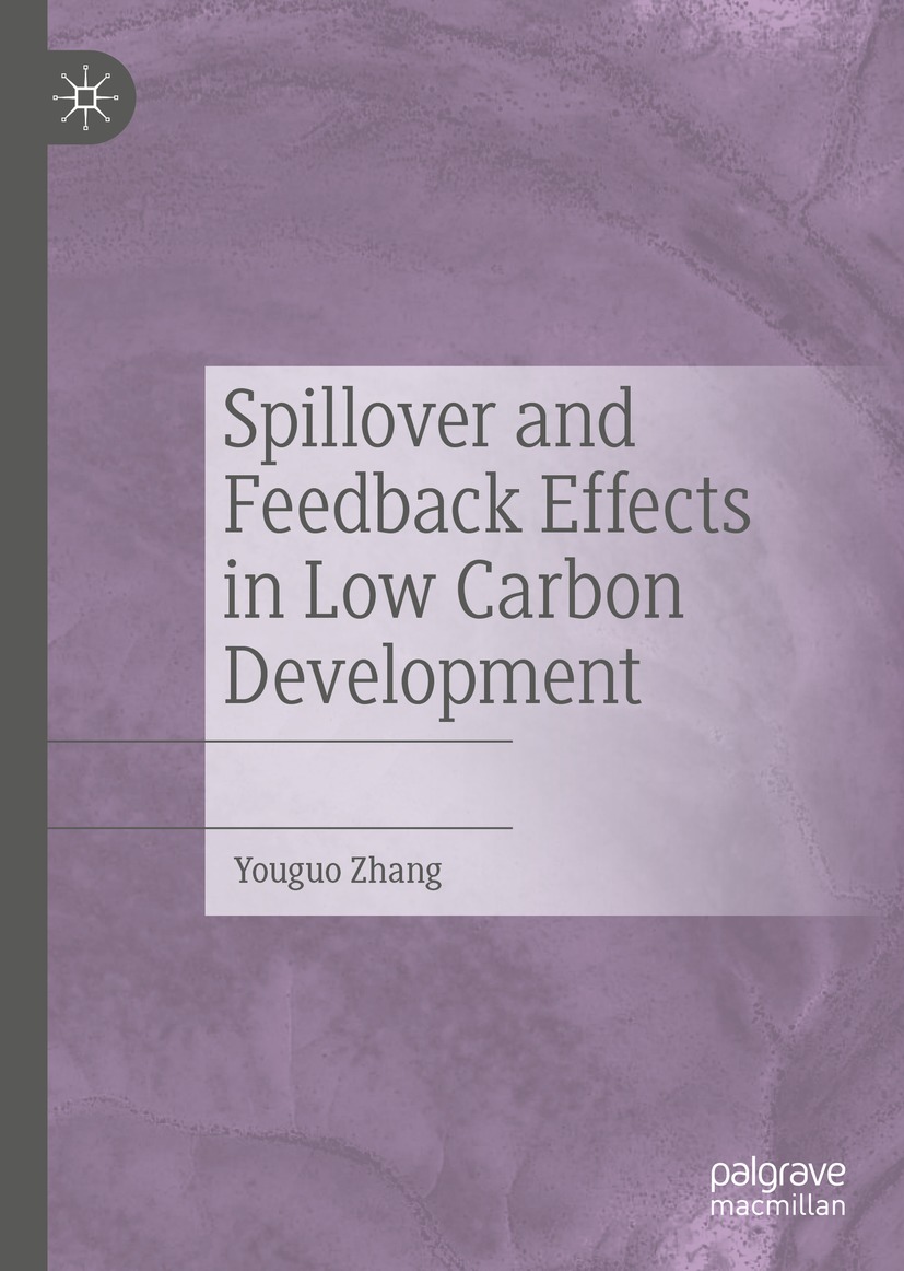 Book cover of Spillover and Feedback Effects in Low Carbon Development - photo 1