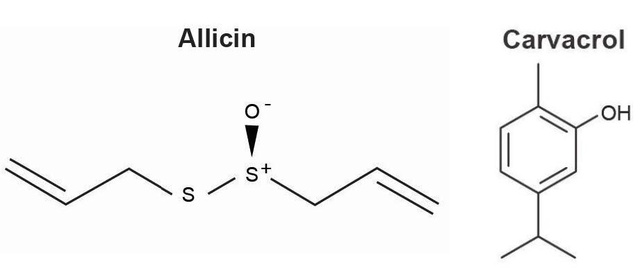 Fig 1 Chemical structures of allicin and carvacrol ALLICIN FROM GARLIC - photo 1