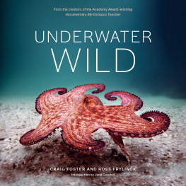 Craig Foster - Underwater Wild: My Octopus Teachers Extraordinary World