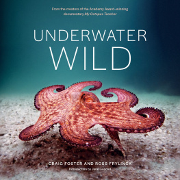 Craig Foster Underwater Wild: My Octopus Teachers Extraordinary World