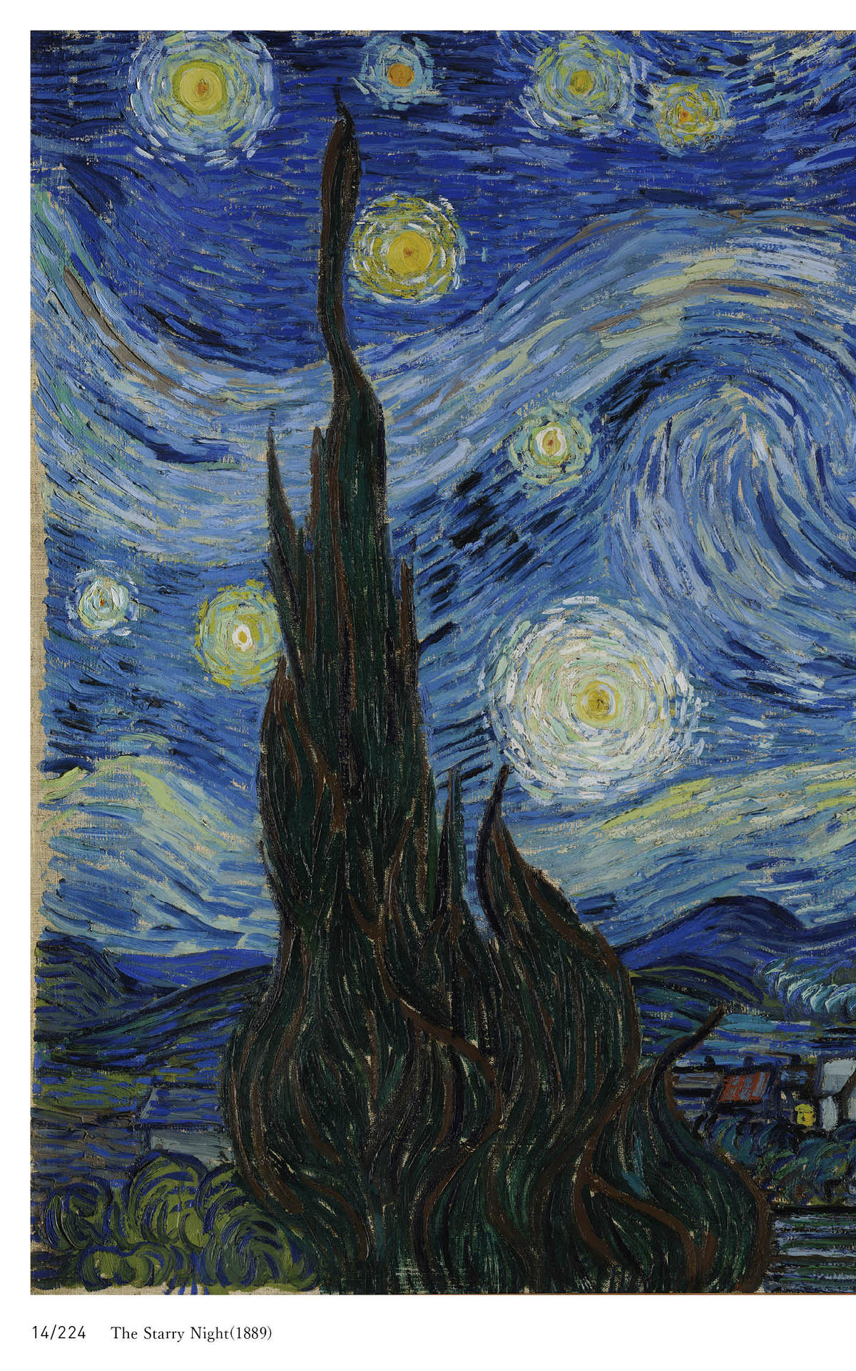 Vincent van Gogh WORLD ART SERIES - photo 14