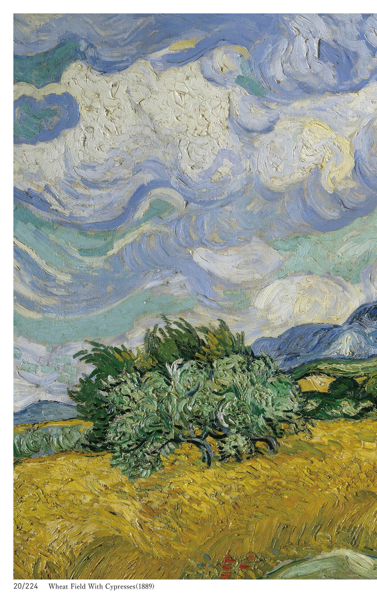 Vincent van Gogh WORLD ART SERIES - photo 20