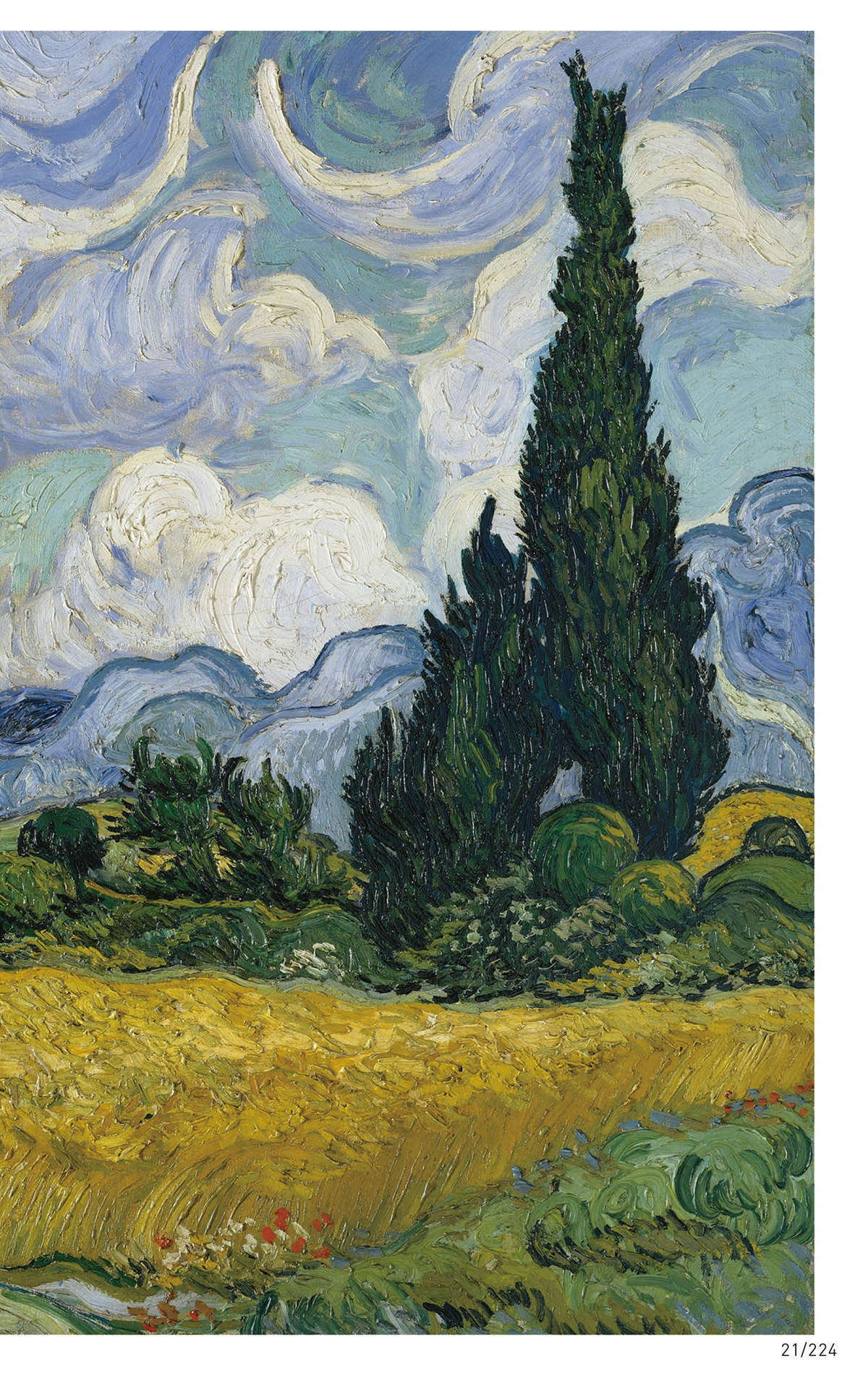 Vincent van Gogh WORLD ART SERIES - photo 21