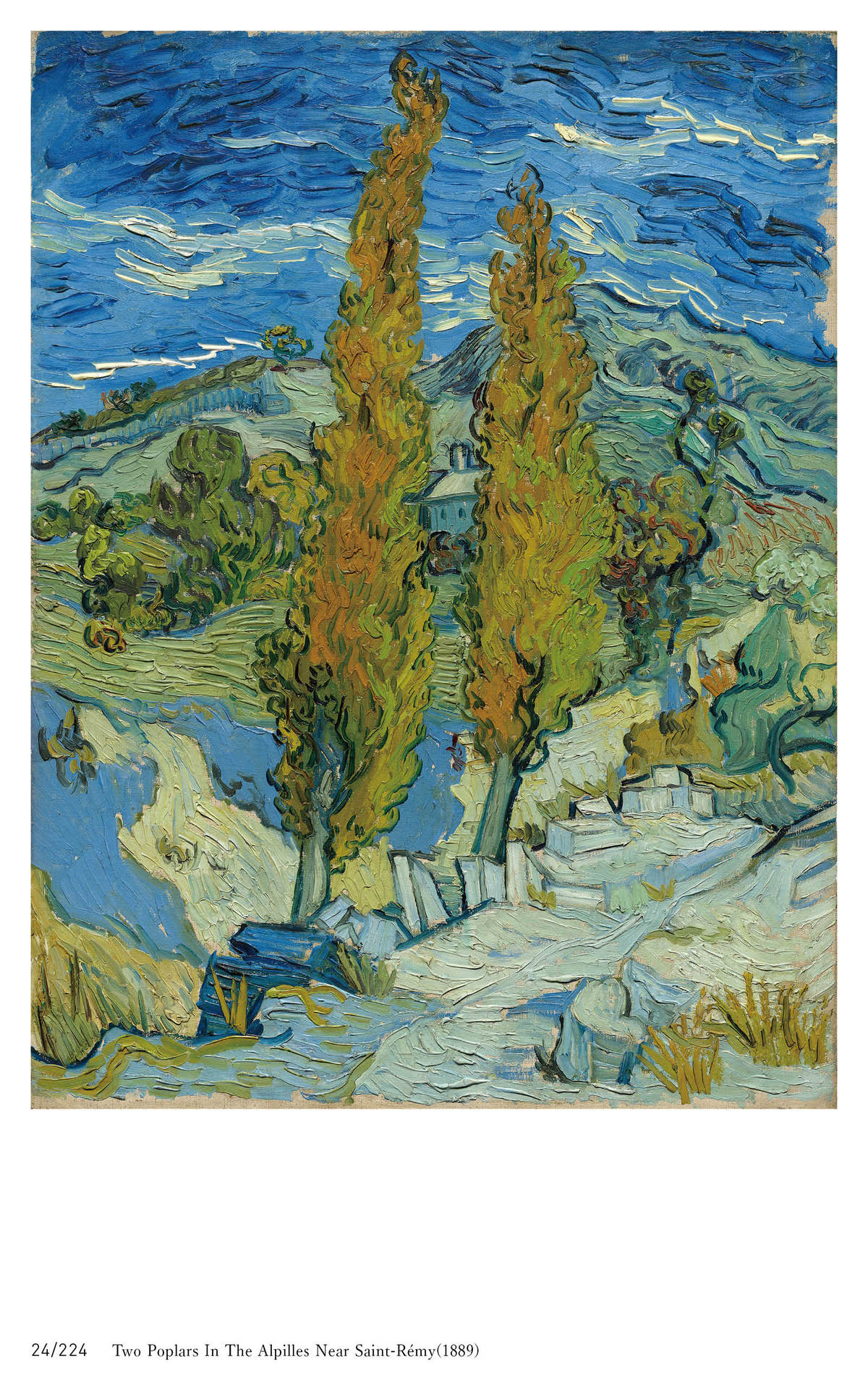 Vincent van Gogh WORLD ART SERIES - photo 24