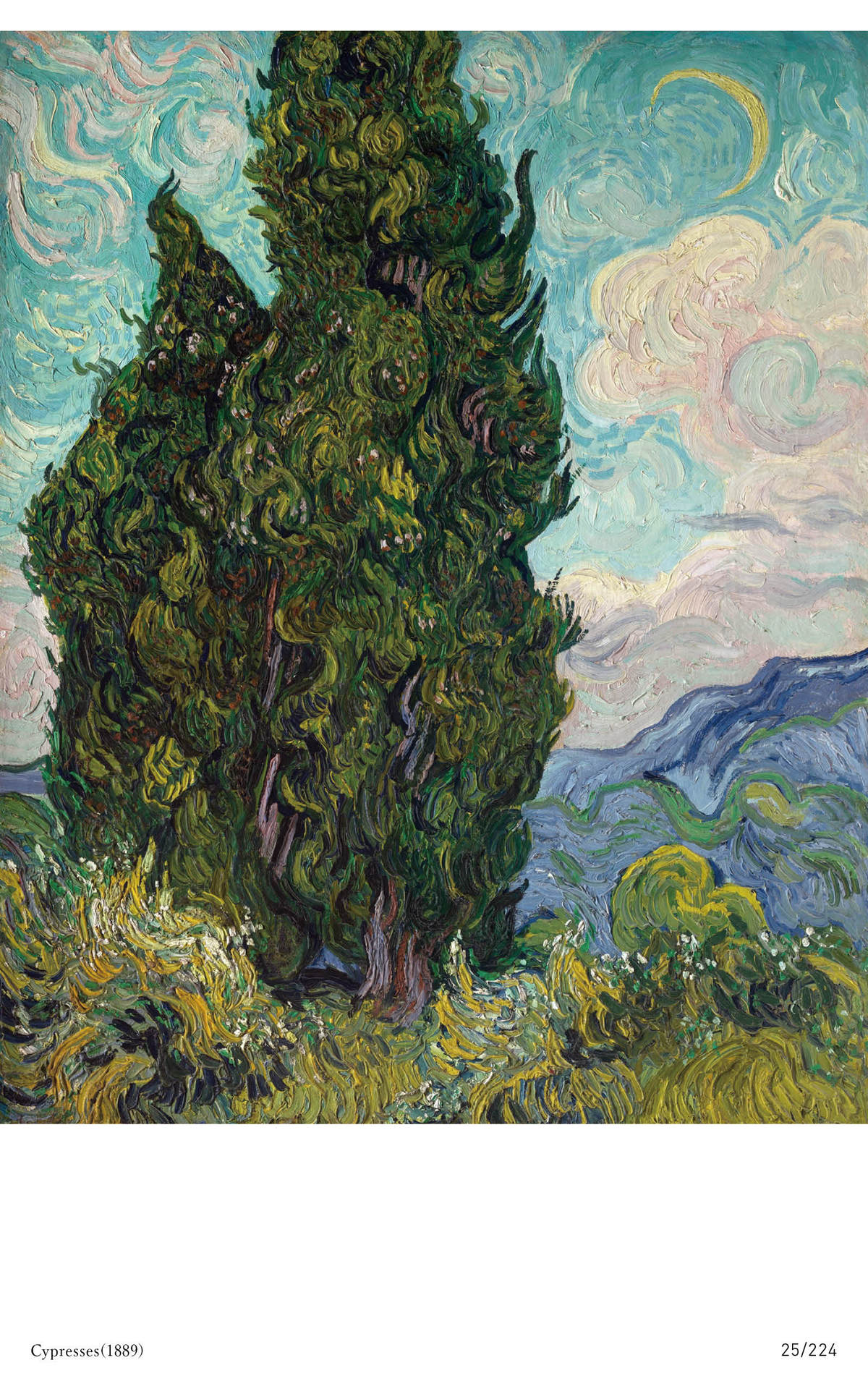 Vincent van Gogh WORLD ART SERIES - photo 25