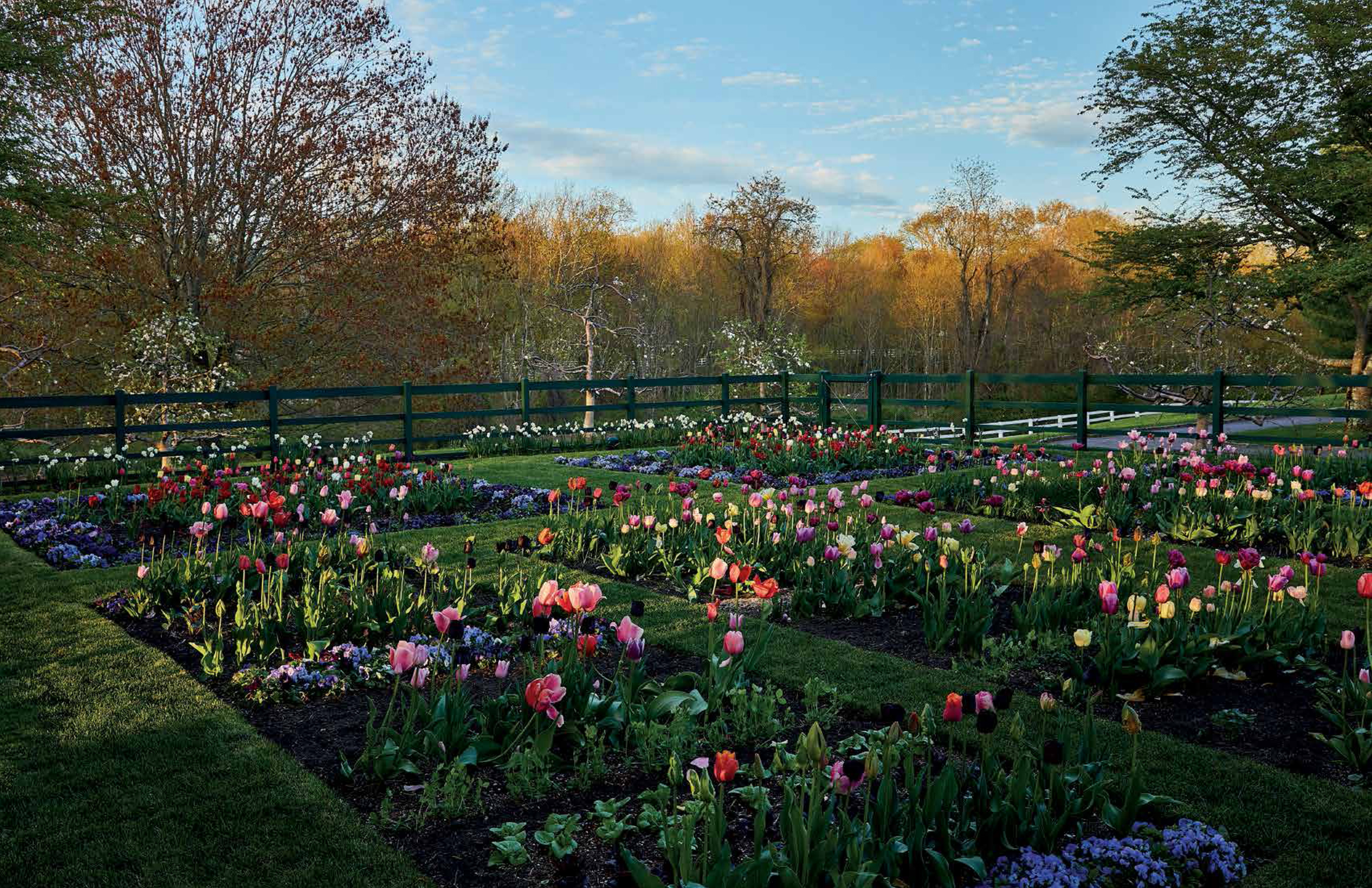 I asked a schoolboy in the sweet summertide what he thought a garden was for - photo 3