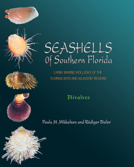 Paula M. Mikkelsen - Seashells of Southern Florida: Living Marine Mollusks of the Florida Keys and Adjacent Regions: Bivalves