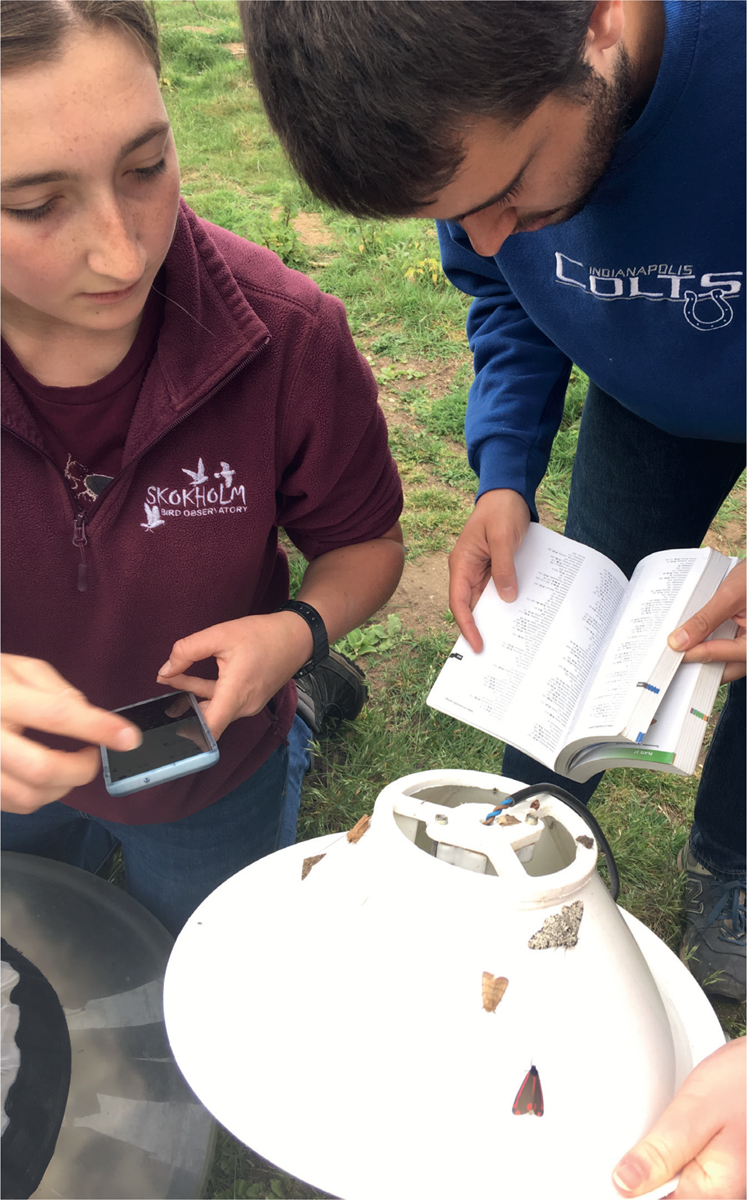 University of East Anglia students checking the contents of a campus moth trap - photo 4