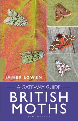 James Lowen - British Moths: A Gateway Guide
