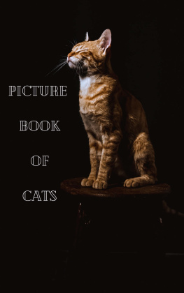 Simply Unique Picture Book Of Cats: A Great Gift (75 high quality animal images) Large Size 8.25x11