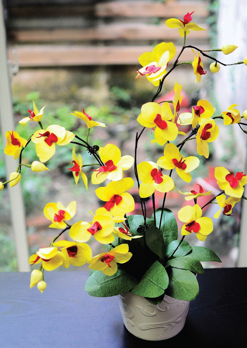 Fig 11 The bright-colored paper moth orchids resembling those adorable - photo 11