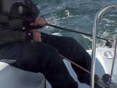 The tiller extension is held in the back hand and the mainsheet in the front - photo 9