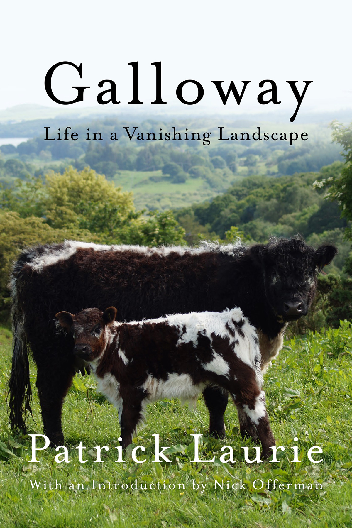 Galloway Galloway Life in a Vanishing Landscape Patrick Laurie With an - photo 1