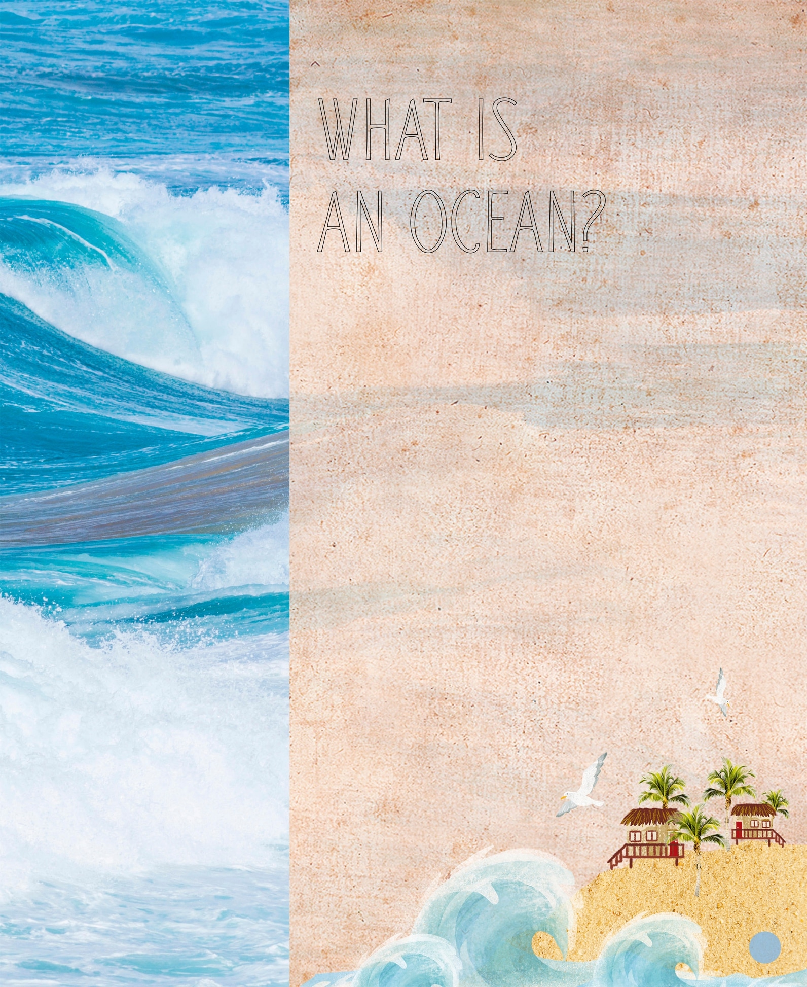 WHA T IS WHA T IS AN OCEAN AN OCEAN This water is called the ocean It - photo 6