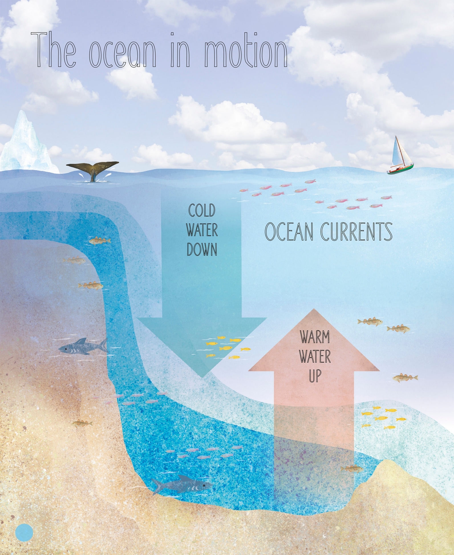 OCEAN CURRENTS OCEAN CURRENTS In the upper layers of water currents are - photo 9