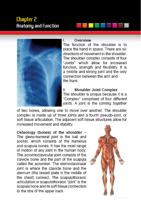 Shoulder Health Postoperative and Preventive Orthopedic Programs - photo 20