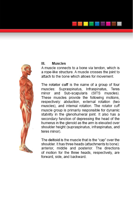 Shoulder Health Postoperative and Preventive Orthopedic Programs - photo 24