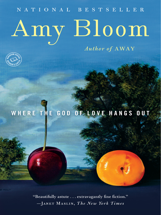 ALSO BY AMY BLOOM Away Normal A Blind Man Can See How Much I Love You Love - photo 1