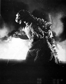 Imiko begged Serizawa to use the oxygen-destroyer on Godzilla Maybe it would - photo 10
