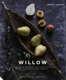 Jenny Crisp Willow: A Guide to Growing and Harvesting