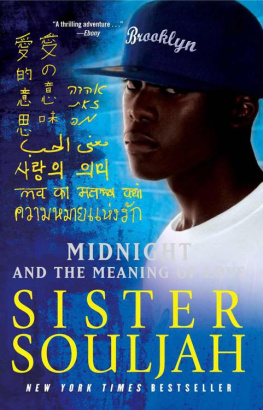 Sister Souljah - Midnight and the Meaning of Love