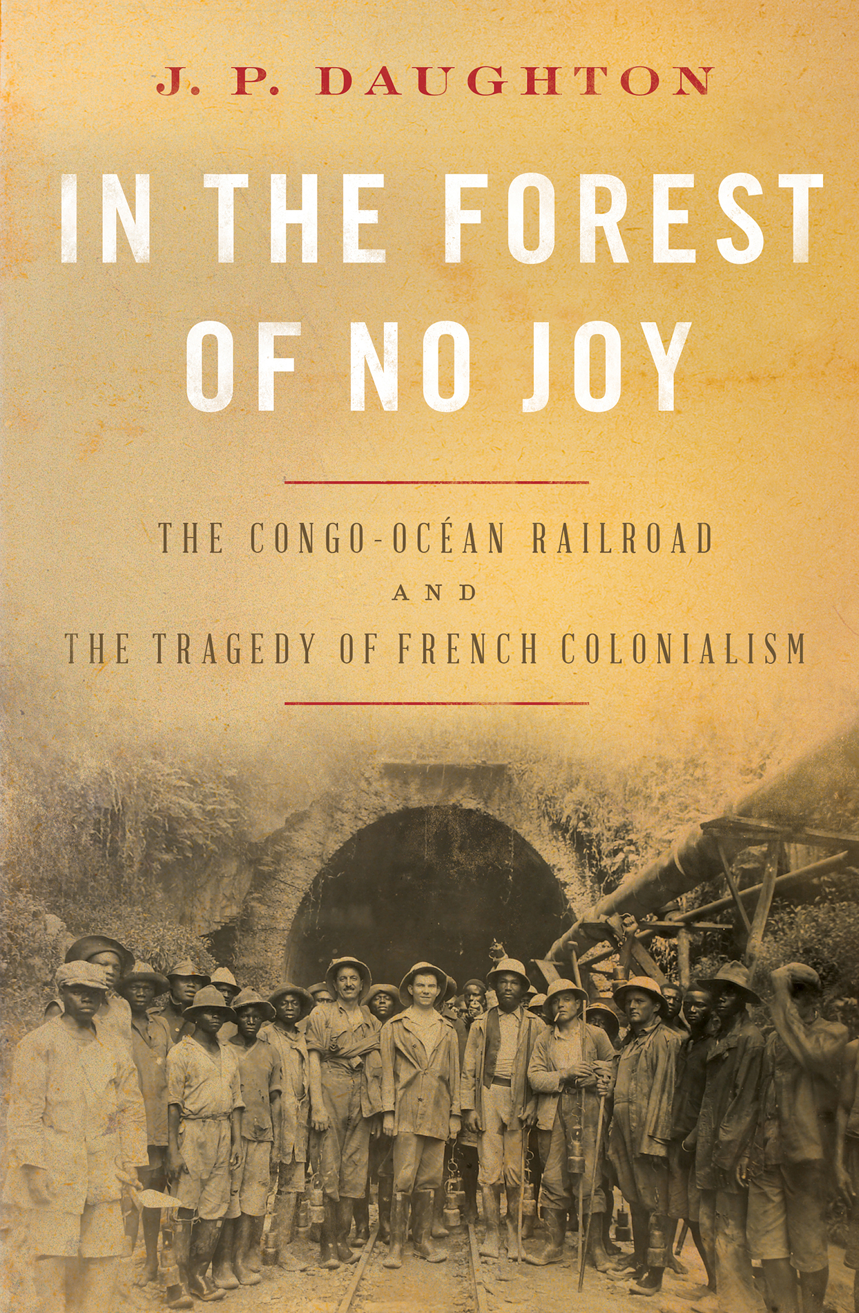 IN THE FOREST of NO JOY THE CONGO-OCAN RAILROAD AND THE TRAGEDY OF FRENCH - photo 1