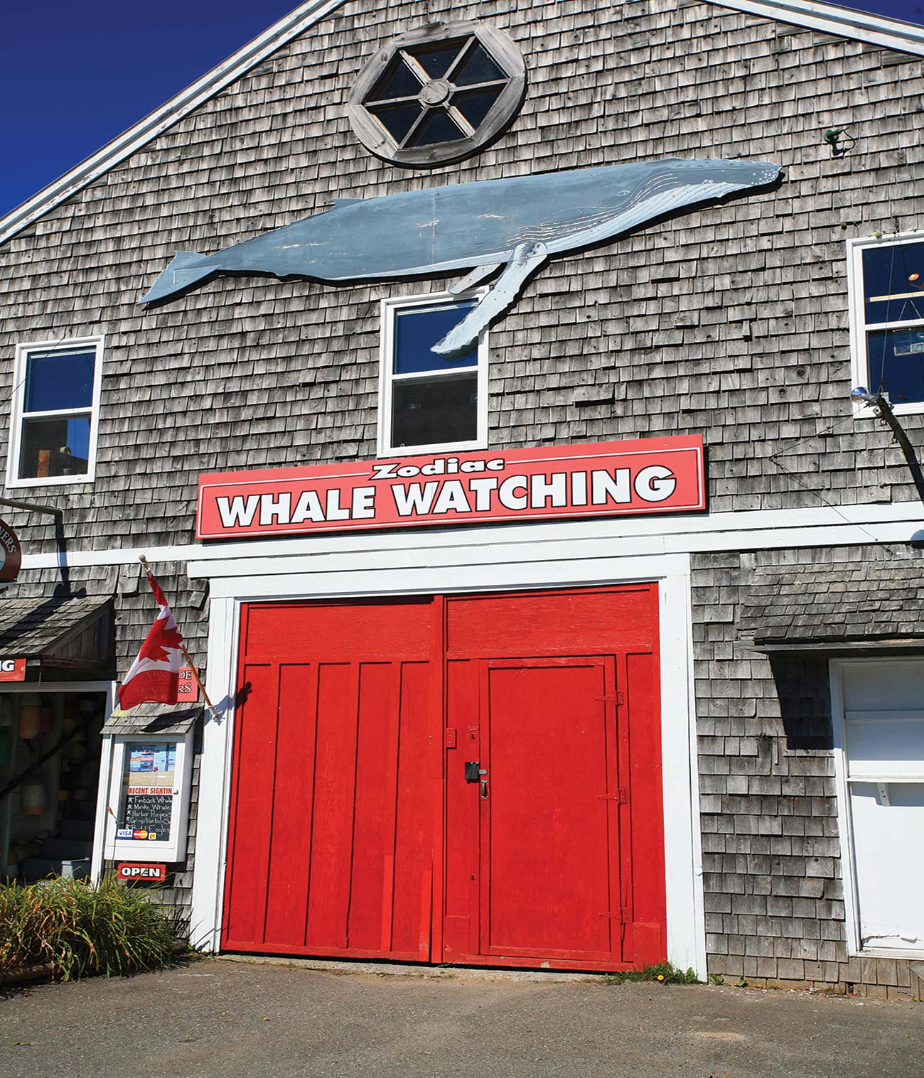 whale-watching business downtown Lunenburg Cavendish Th - photo 7