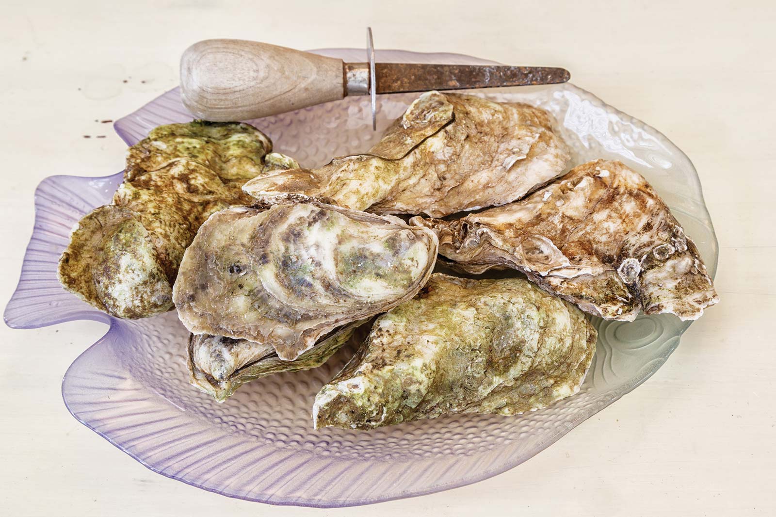 Take a stroll through a farm and stop at an on-demand oyster bar en route to - photo 17