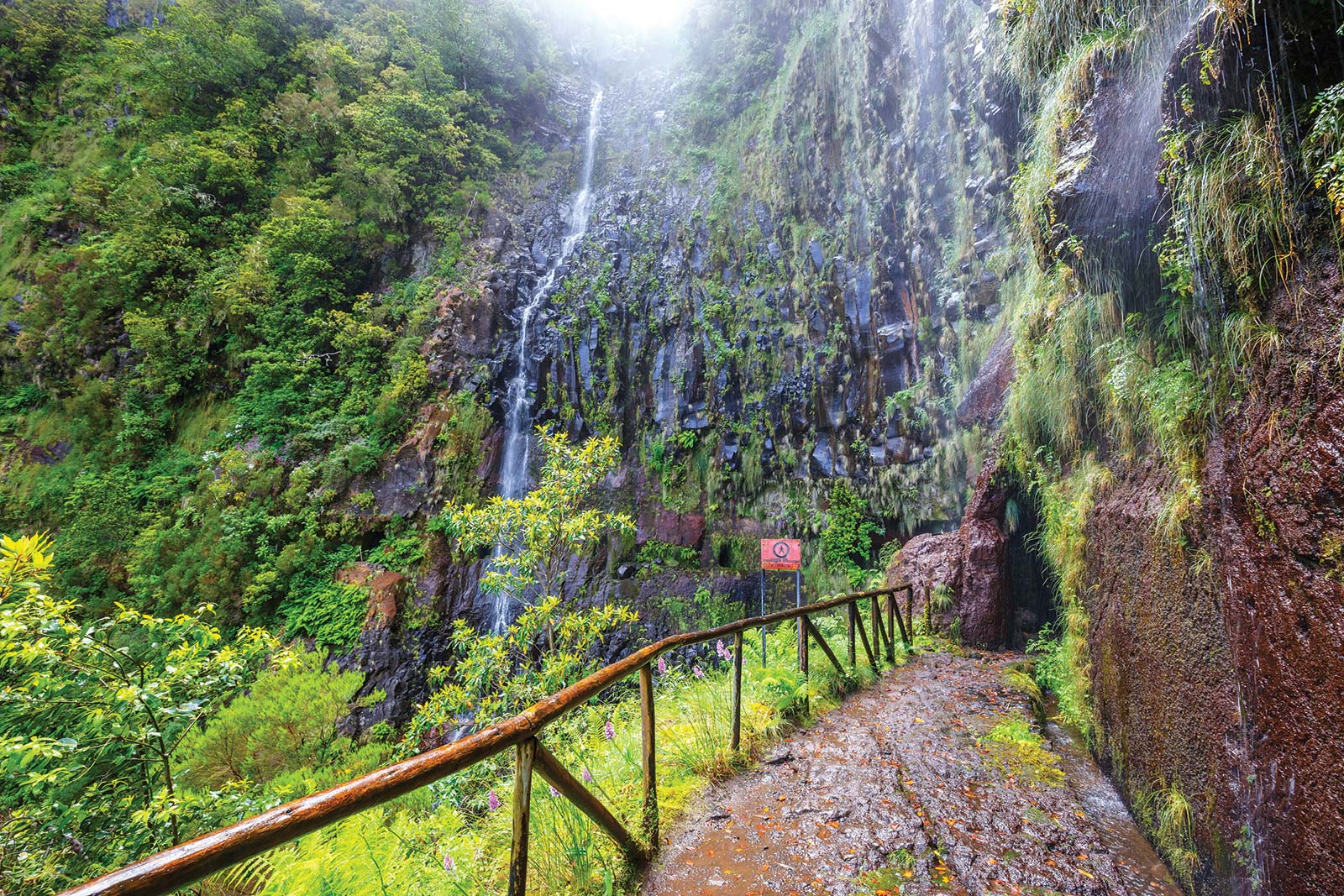 levada trail on Madeira Portugal caters for all tastes in travel glamorous - photo 10