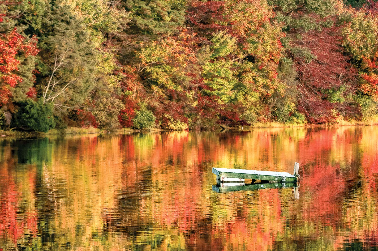 Find Fantastic Fall As winter approaches New Englands deciduous trees paint - photo 9