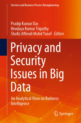 Pradip Kumar Das (editor) - Privacy and Security Issues in Big Data: An Analytical View on Business Intelligence (Services and Business Process Reengineering)