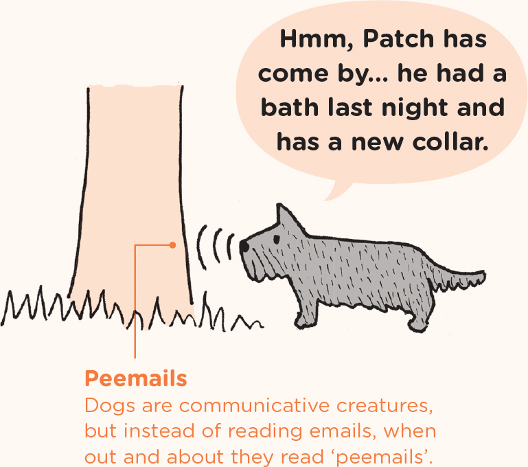 Stereo smell Each nostril samples air independently which helps your dog to - photo 9