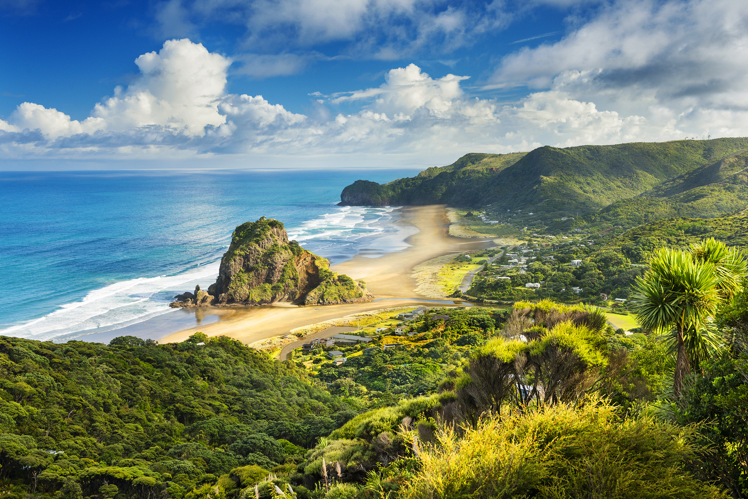 Piha West Auckland JUSTIN FOULKESLONELY PLANET Auckland the Bay of - photo 4