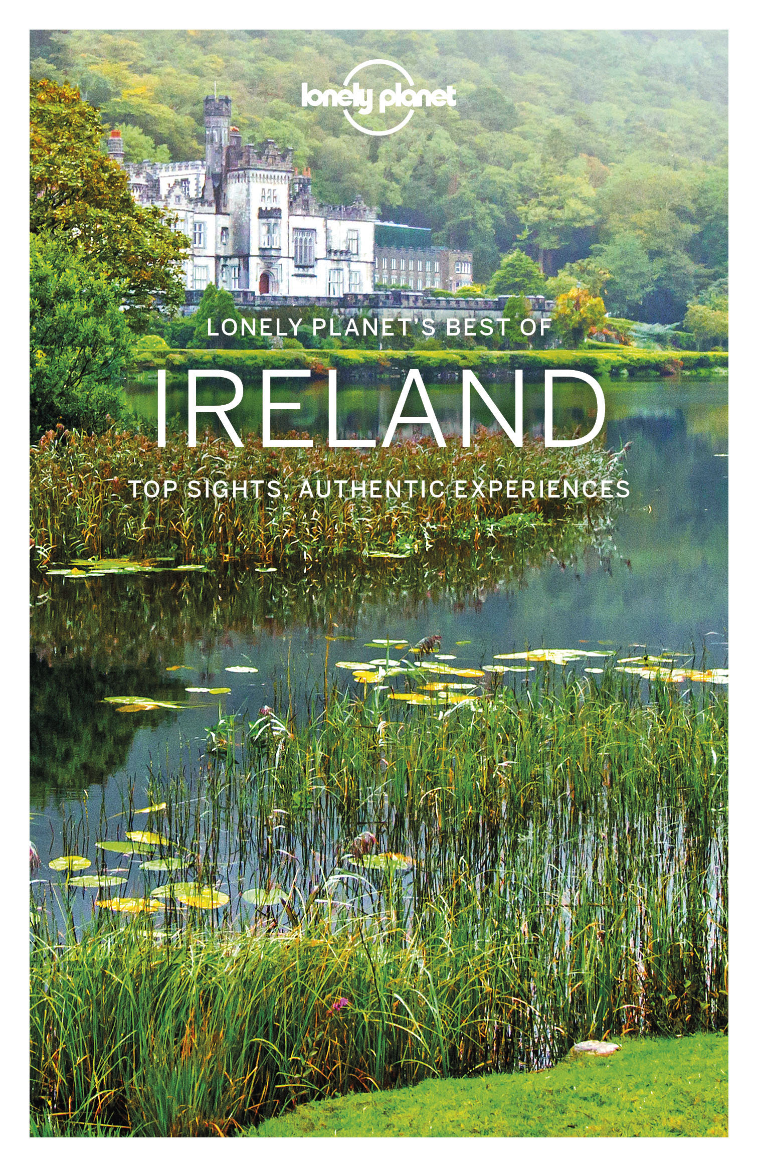 Lonely Planet Best of Ireland Travel Guide - image 1