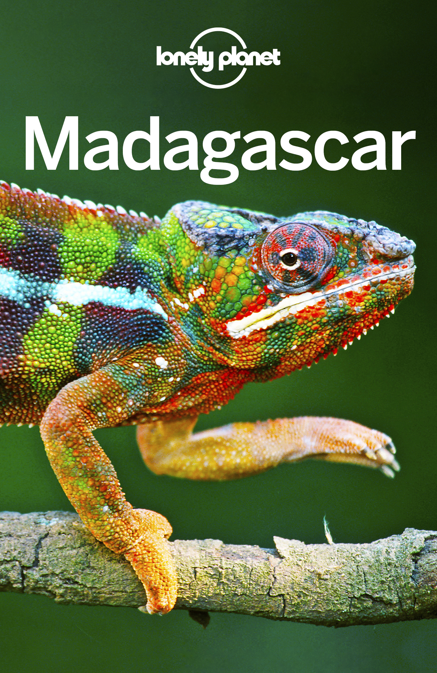 Lonely Planet Madagascar Travel Guide - image 1