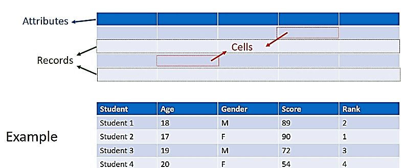 Components of a Table A record in a table is a row of data An attribute is a - photo 5