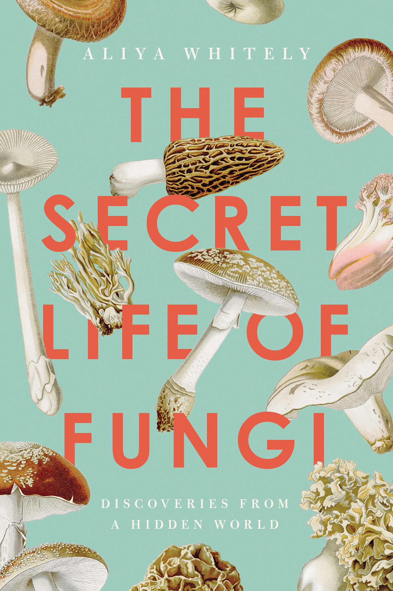 Aliya Whitely The Secret Life of Fungi Discoveries from a Hidden World THE - photo 1