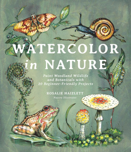 Rosalie Haizlett - Watercolor in Nature: Paint Woodland Wildlife and Botanicals with 20 Beginner-Friendly Projects