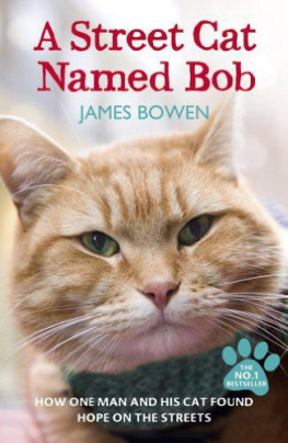 James Bowen - A Street Cat Named Bob : How One Man and His Cat Found Hope on the Streets