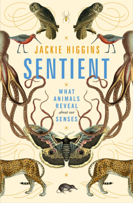 Jackie Higgins - Sentient: What Animals Reveal About Our Senses