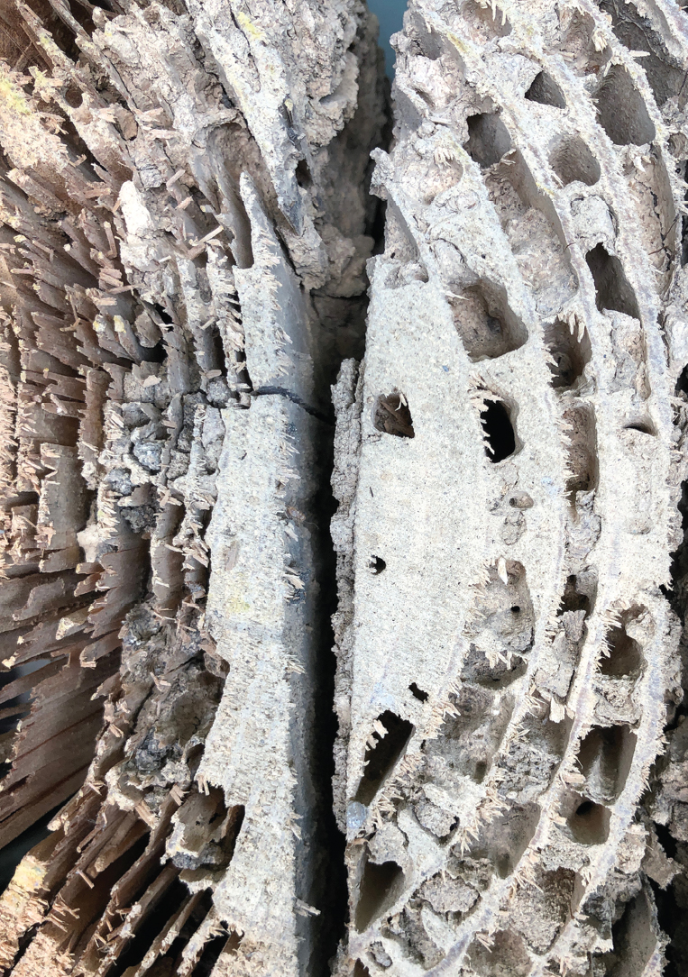 FIGURE 01 pagae xiv Structure by Termites The Original Main Beam Since - photo 3