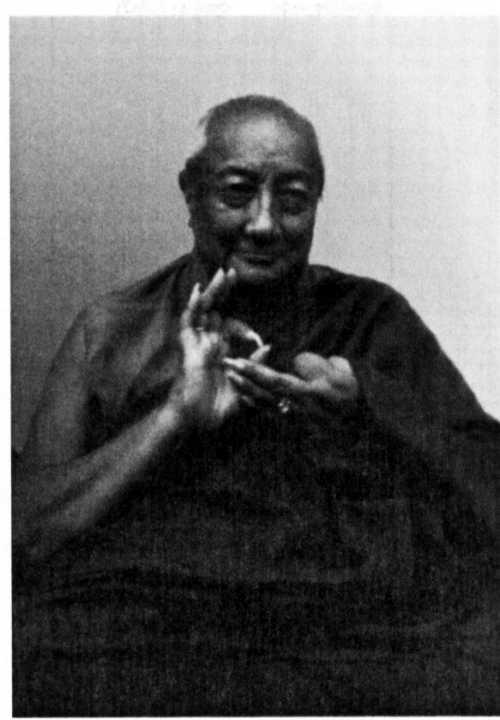 Kyabje Dilgo Khyentse Rinpoche Kyabje Penor Rinpoche - photo 7