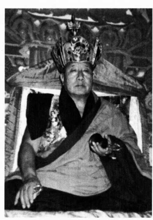 Kyabje Penor Rinpoche Kyahje Khenpo igmey Kinpoehe - photo 9