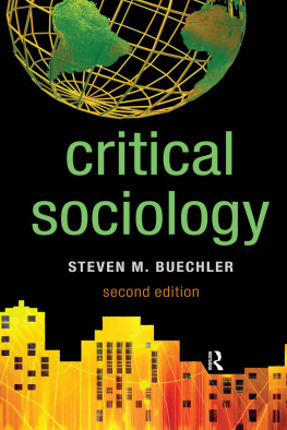 Steven M. Buechler - Critical Sociology