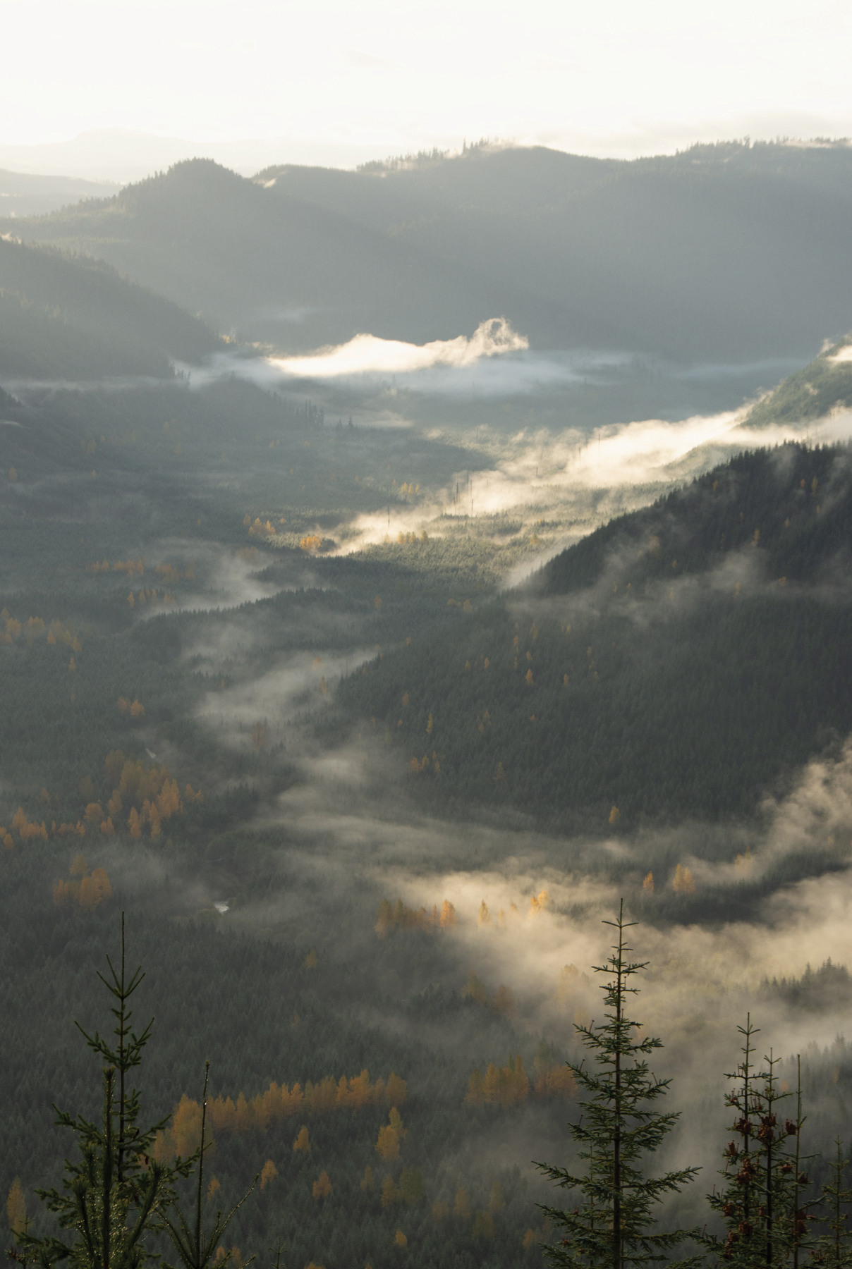 An autumn mist rises from a river valley near Mount St Helens Much of the - photo 7