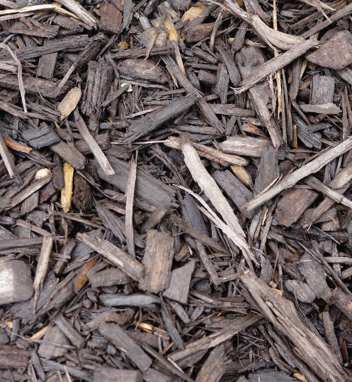 mulching and winter protection Mulch is a 2- to 4-inch layer of organic matter - photo 4