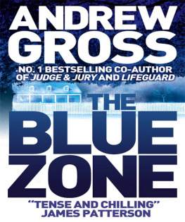 Andrew Gross - The Blue Zone