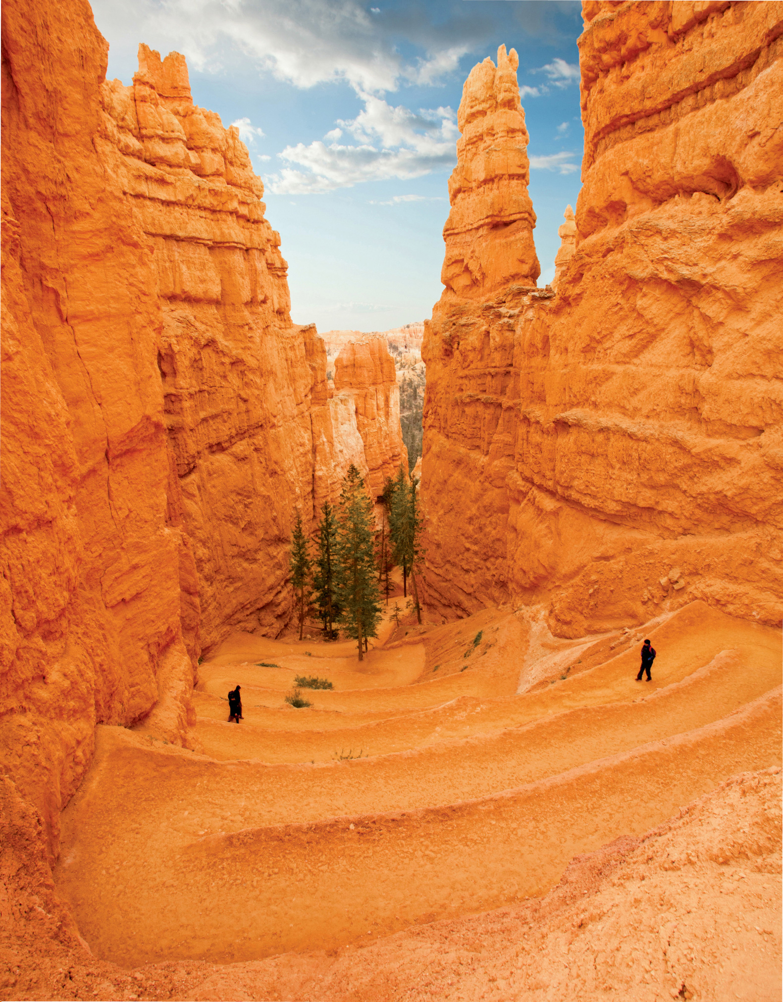 Navajo Loop Trail Bryce Canyon National Park Utah Contents A Black-tailed - photo 4