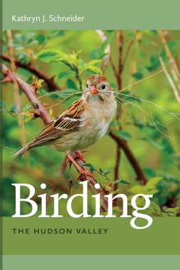 Kathryn J. Schneider Birding the Hudson Valley