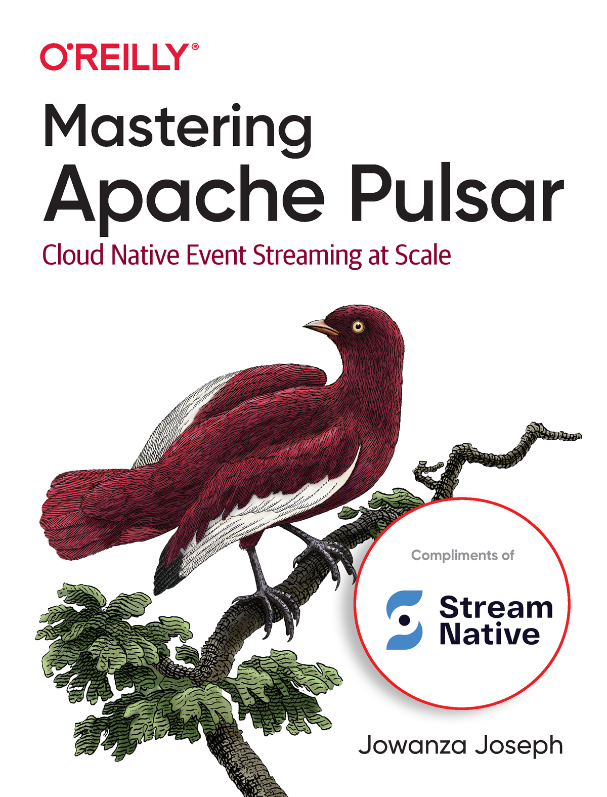 Stream Native Mastering Apache Pulsar by Jowanza Joseph Copyright 2022 - photo 1